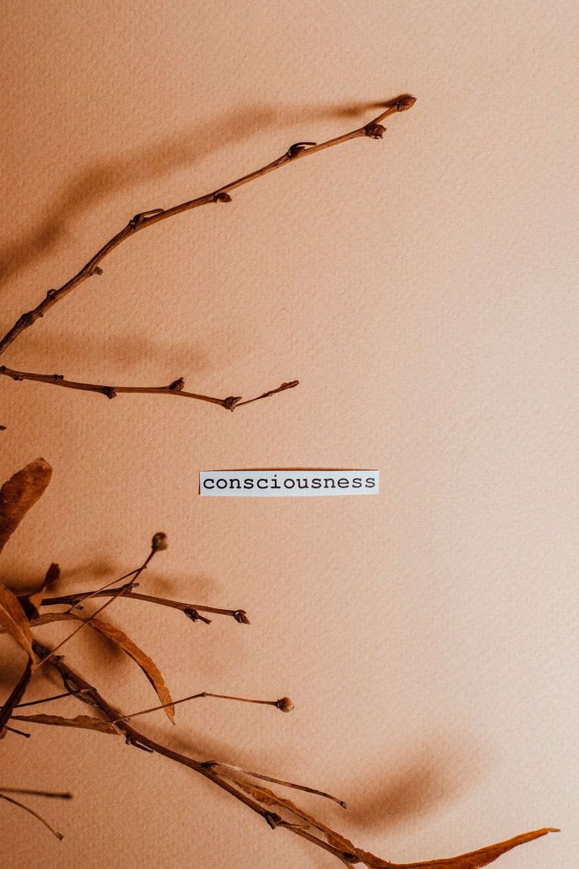 May be an image of tree and text