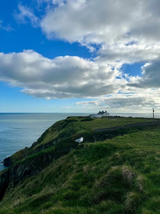 No photo description available.