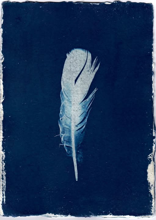 No photo description available.