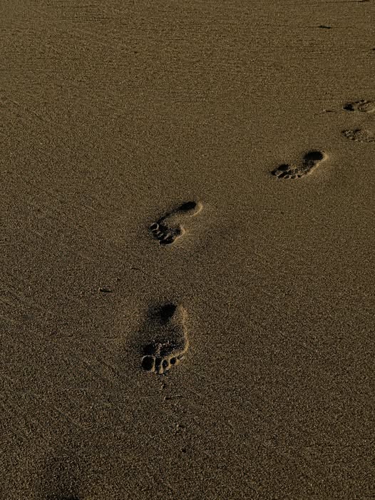 No photo description available.