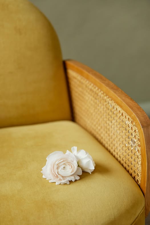 May be an image of lace